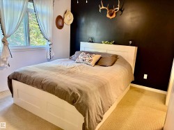 Window with natural light and white trim, contrasting accent wall, light-toned carpeting, and a built-in bed frame - 