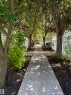 Concrete pathway bordered by mature trees and lush greenery - 184 1804 70 Street, Edmonton, AB 