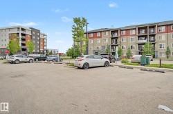 Ample Visitor Parking - 