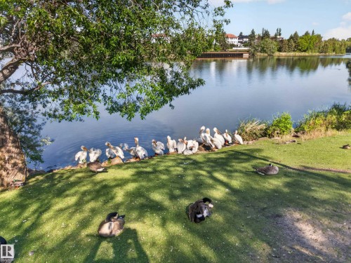 17 15710 Beaumaris Road, Edmonton, AB 