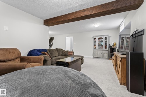 4336 116 Street, Edmonton, AB - Indoor Photo Showing Living Room