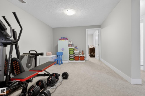4336 116 Street, Edmonton, AB - Indoor Photo Showing Gym Room