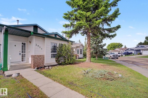 White siding exterior with dark green trim and a prominent mature evergreen tree - 3704 39 Avenue, Edmonton, AB 