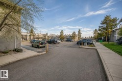 Paved parking lot with designated spaces, concrete sidewalks, and surrounding mature trees - 