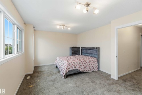 Carpeted room featuring light-colored walls and multiple windows - 5120 19 Avenue, Edmonton, AB 