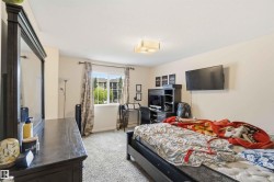 Carpeted room with a ceiling-mounted light fixture, a window with exterior views, and a wall-mounted television - 