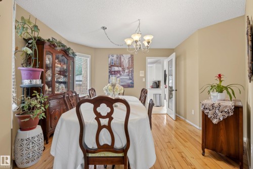 Dining space featuring wood-finish flooring, a multi-pane window, and a frosted glass-paneled door - 9 Emerald Terrace, St. Albert, AB 