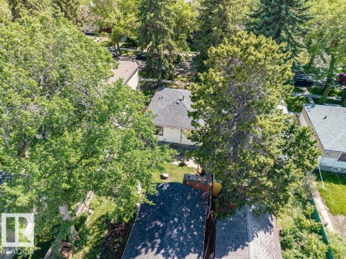 Residential property with a dark shingle roof, surrounded by mature trees - 8318 80 Avenue, Edmonton, AB 