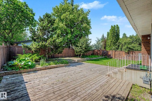 Expansive wooden deck with a built-in planter, surrounded by mature trees and a privacy fence - 3718 103B Street Nw, Edmonton, AB - Outdoor
