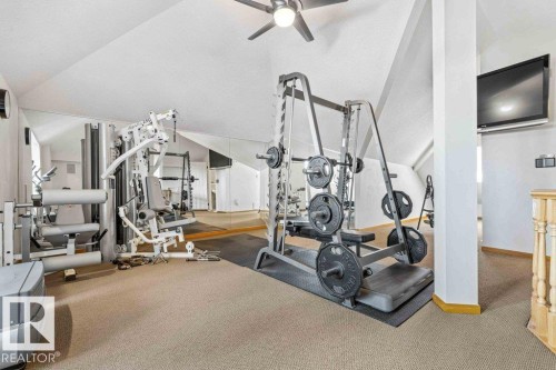 3rd storey Bonus room with Gym - 738 Wheeler Road, Edmonton, AB 