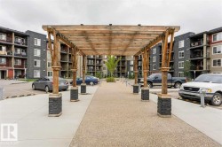 Wood pergola structure over a textured concrete walkway - 