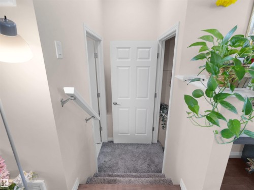 Carpeted staircase with light beige wall finishes - 7827 22 Avenue, Edmonton, AB 