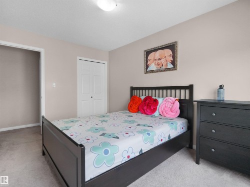 Carpeted room featuring a white bi-fold closet door, neutral wall color, and a ceiling-mounted light fixture - 7827 22 Avenue, Edmonton, AB 