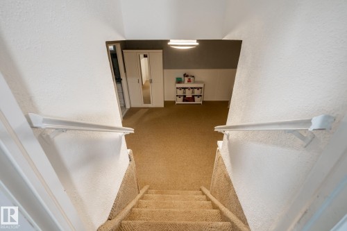 Carpeted staircase with white handrails leading to a carpeted room featuring a white and gray wall combination - 27 Danforth Crescent, St. Albert, AB 