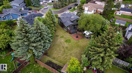 Expansive backyard featuring a large lawn, mature perimeter trees, and a raised wood deck - 27 Danforth Crescent, St. Albert, AB 