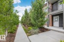 Concrete sidewalk bordered by mature deciduous trees and manicured shrubbery - 22 3025 151 Avenue, Edmonton, AB 