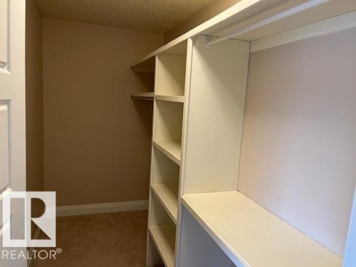 Walk-in closet featuring built-in shelving, ample hanging space, and light-toned carpeting - 805 Hodgins Road, Edmonton, AB 