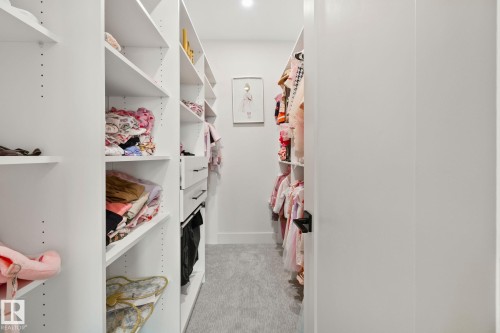 Walk-in closet featuring extensive built-in shelving, integrated drawers with dark hardware, a carpeted floor, recessed lighting, and a solid interior door - 4509 Wingfield Bay Bay, Edmonton, AB 
