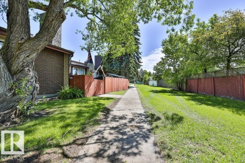 Established tree providing natural shade, concrete pathway, and expansive lawn area - 17009 109 Street, Edmonton, AB 