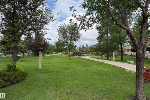 Expansive green space featuring a paved walkway, mature trees, manicured lawns, and exterior lighting fixtures - 120 13320 124 Street Nw, Edmonton, AB 