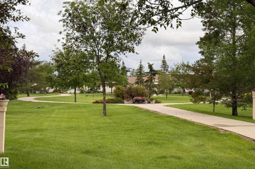 Expansive green lawn with mature trees and a winding paved pathway - 120 13320 124 Street Nw, Edmonton, AB 