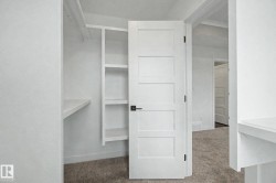 Walk-in closet featuring white built-in shelving, a hanging rod, and light-toned carpeting - 