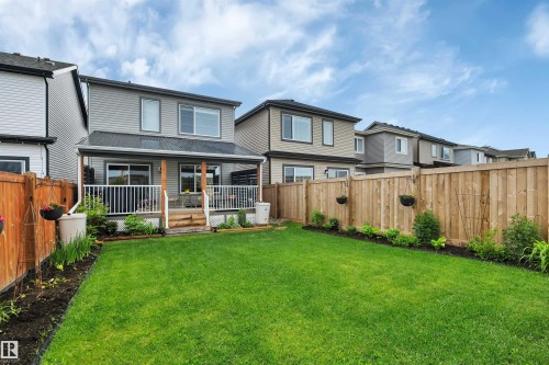 Expansive lawn bordered by a wood fence - 157 Larch Crescent, Leduc, AB 