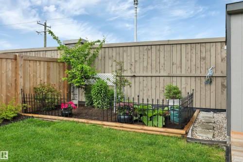 Manicured lawn with a landscaped garden bed, featuring a wood fence, mature greenery, and decorative wrought iron fencing - 157 Larch Crescent, Leduc, AB 