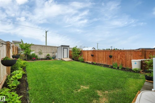 Expansive green lawn framed by a dark stained privacy fence and a light wood privacy fence - 157 Larch Crescent, Leduc, AB 