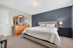 Carpeted room with a feature wall in a deep blue tone - 
