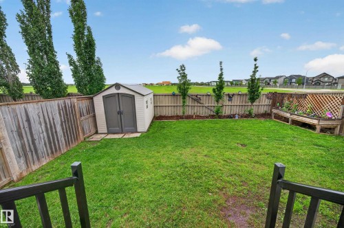 Expansive backyard featuring a manicured lawn, perimeter fencing, and a garden shed - 74 Santana Crescent, Fort Saskatchewan, AB 