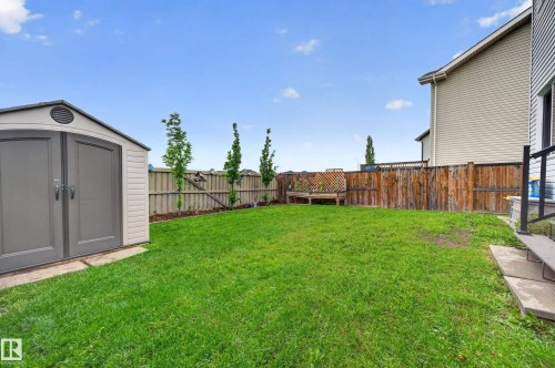 Expansive lawn area featuring a storage shed, wood privacy fencing, and mature trees - 74 Santana Crescent, Fort Saskatchewan, AB 