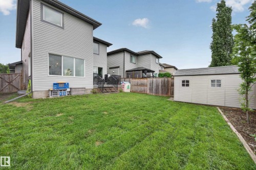 Spacious backyard featuring a manicured lawn, a light-colored storage shed with multiple windows, and a wooden fence - 74 Santana Crescent, Fort Saskatchewan, AB 