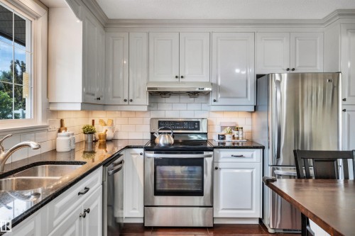 10909 33A Avenue, Edmonton, AB - Indoor Photo Showing Kitchen With Stainless Steel Kitchen With Double Sink