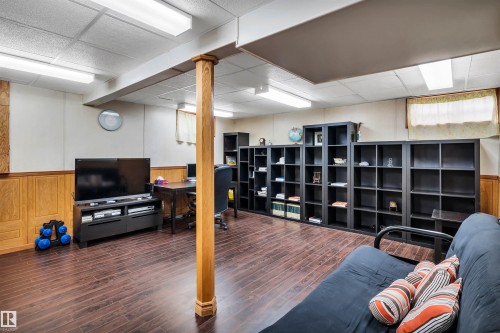 10909 33A Avenue, Edmonton, AB - Indoor Photo Showing Basement