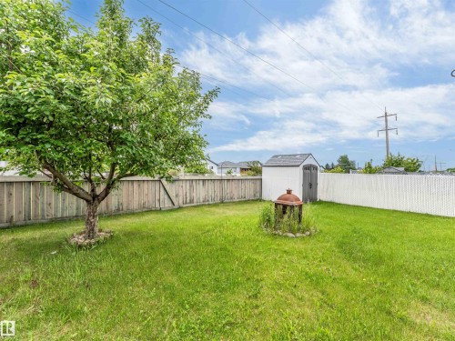 Expansive green space featuring a mature tree, privacy fencing, and a white storage shed with a dark gray door and roof - 6719 164 Ave, Edmonton, AB 