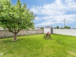 Expansive green space featuring a mature tree, privacy fencing, and a white storage shed with a dark gray door and roof - 