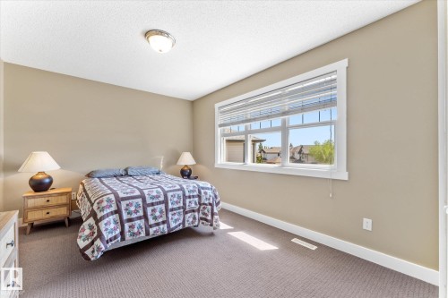 Neutral tone walls with white trim, a large window, carpeted flooring, and a flush mount ceiling light fixture - 488 Macewan Road, Edmonton, AB 