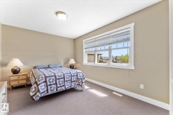 Neutral tone walls with white trim, a large window, carpeted flooring, and a flush mount ceiling light fixture - 