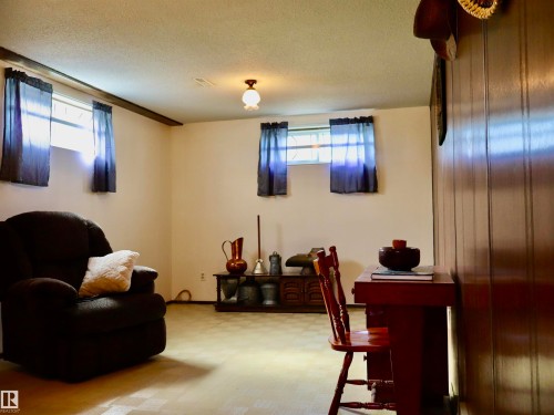 Recreation room featuring paneled accent wall, neutral-toned flooring, and multiple windows - 5530 46 Street, Barrhead, AB 
