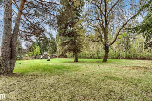 Expansive backyard featuring mature trees, a wooden fence, and a backdrop of verdant foliage - 20515 5 Avenue Sw, Edmonton, AB 
