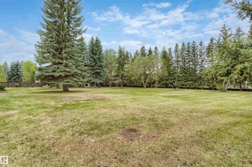 Expansive outdoor area featuring mature evergreen trees and a substantial grassy lawn - 20515 5 Avenue Sw, Edmonton, AB 