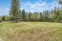 Expansive outdoor area featuring mature evergreen trees and a substantial grassy lawn - 