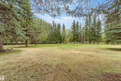 Expansive outdoor area featuring a substantial lawn bordered by mature evergreen trees - 20515 5 Avenue Sw, Edmonton, AB 