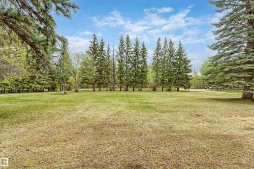 Expansive green space featuring mature evergreen trees along the perimeter - 20515 5 Avenue Sw, Edmonton, AB 