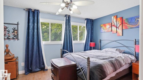 Bedroom featuring two windows with blue drapery, a ceiling fan with integrated lighting, wood-finish flooring, and blue walls - 1827 36 Street Nw, Edmonton, AB 