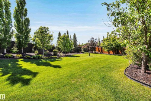 Expansive backyard featuring a lush lawn, mature trees, landscaped garden beds, and a perimeter privacy fence - 18 Voleta Crest, Spruce Grove, AB 