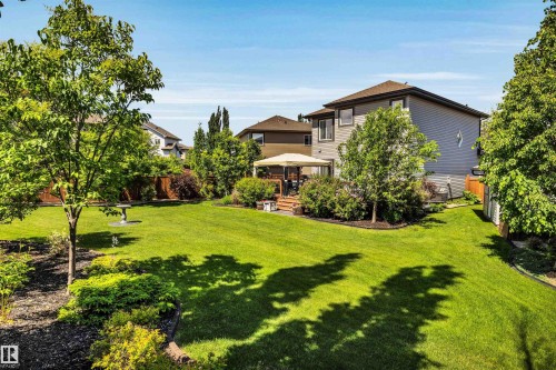 Spacious backyard featuring a large green lawn, mature trees, landscaped garden beds, a wooden deck, and a privacy fence - 18 Voleta Crest, Spruce Grove, AB 