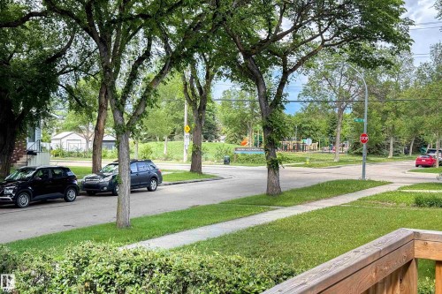 Tree-lined streetscape featuring mature trees, a sidewalk, and a public park with playground equipment - 10811 73 Avenue, Edmonton, AB 