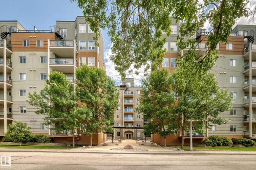 319 10235 112 Street, Edmonton, AB 
